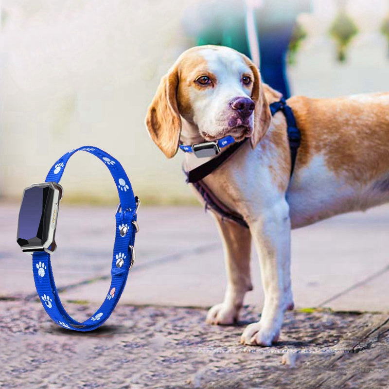 Coleira Inteligente para Pets – GPS e Identificação Digital